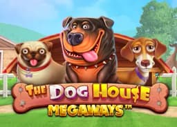 harborviewexuma: The Dog House Megaways